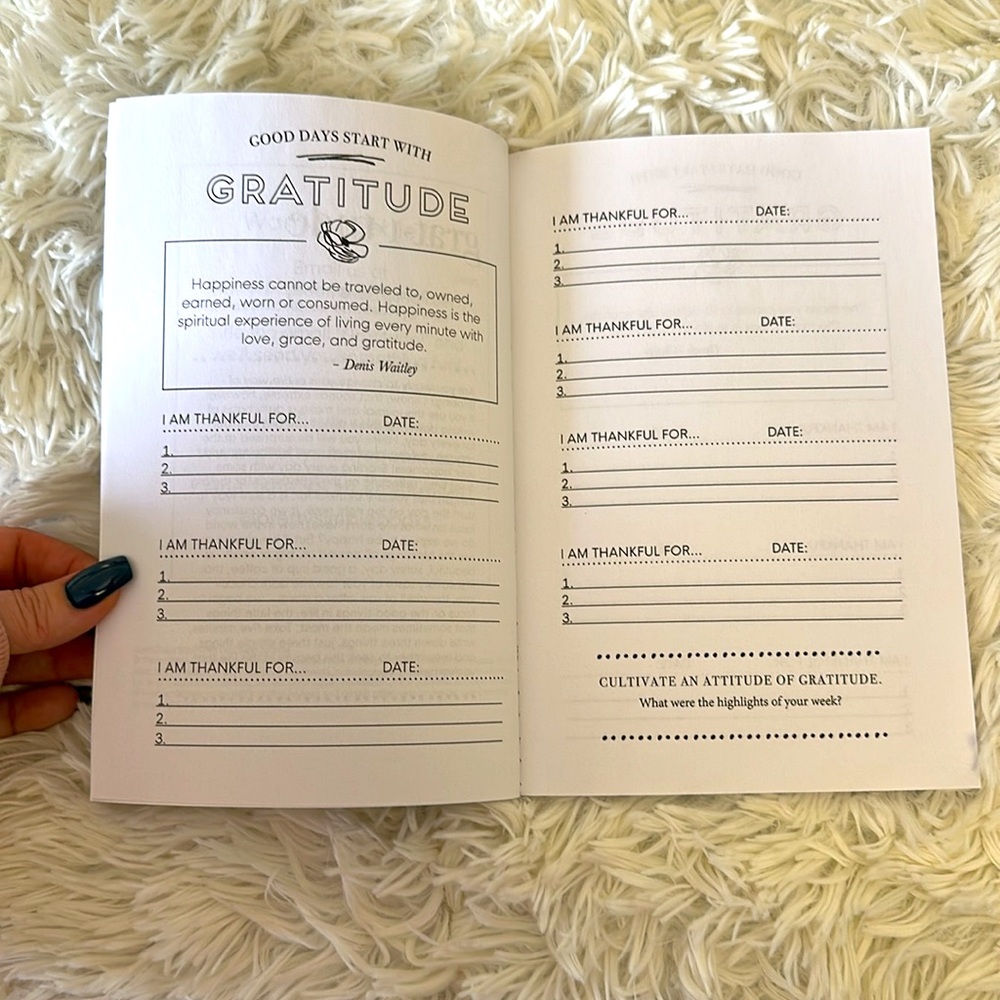 Gratitude Journal - Picture 4 of 5